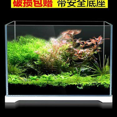 泰安魚缸店，泰安仟銳水族用品有限公司