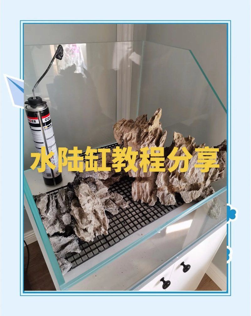 百色魚缸定做，廣西百色地區(qū)魚缸定做