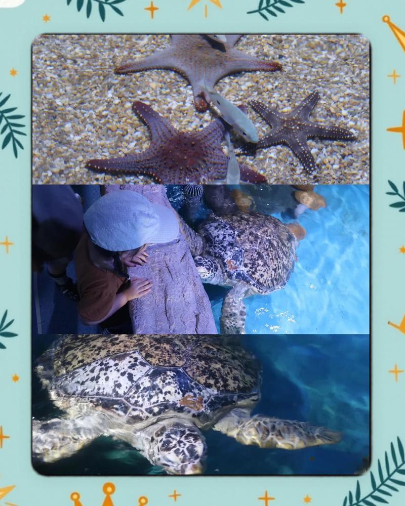 南陽水族店，南陽水族店怎么樣