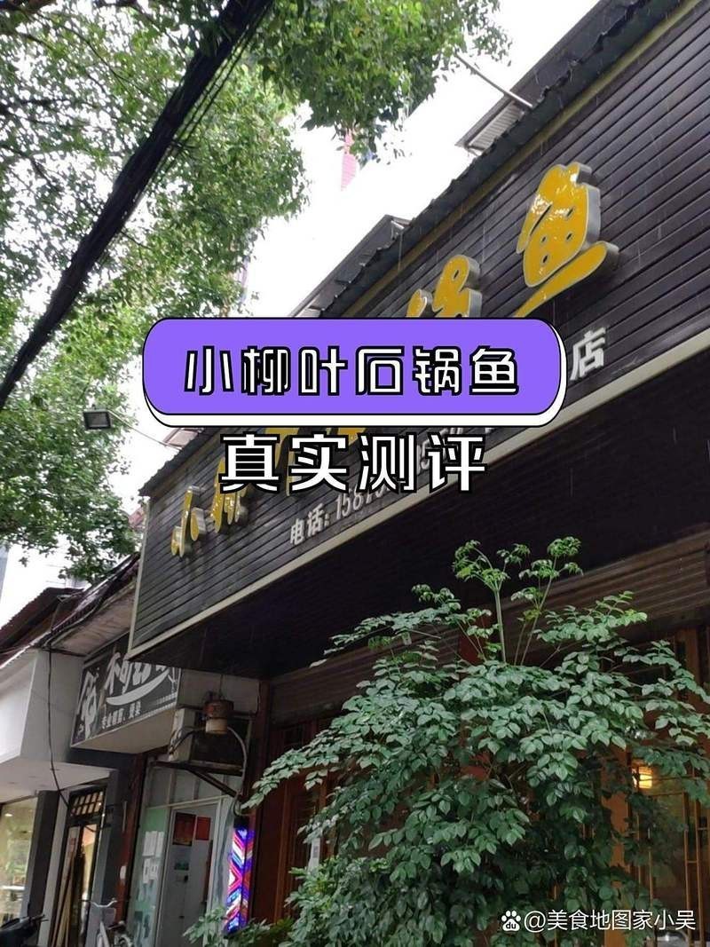 德安龍魚店，廣州聚龍灣龍魚店)德安魚化石具有重要科學價值