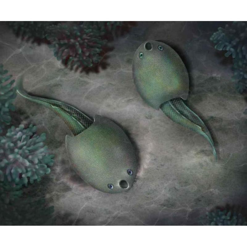德安龍魚店，廣州聚龍灣龍魚店)德安魚化石具有重要科學價值