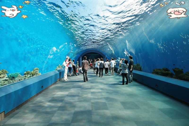 大興安嶺水族館，大興安嶺水族館——大興安嶺水族館