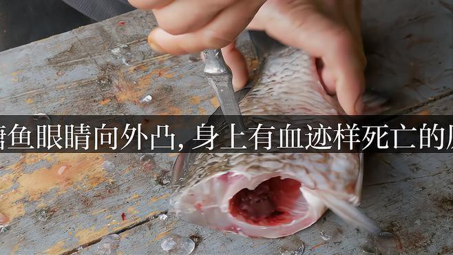 如何判斷紅龍魚眼睛外凸的病因？，智能模式回答完成調用工具：百度健康