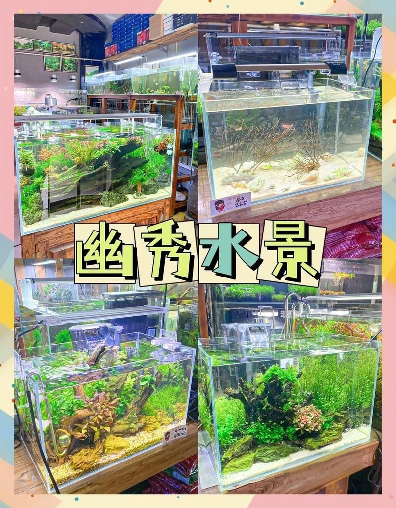 石家莊魚缸店，石家莊家用魚缸批發市場