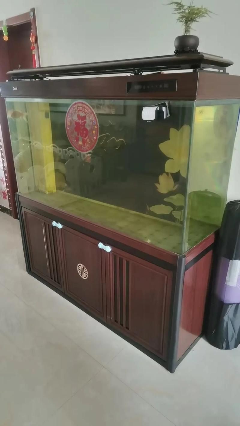 石家莊魚缸店，石家莊家用魚缸批發市場