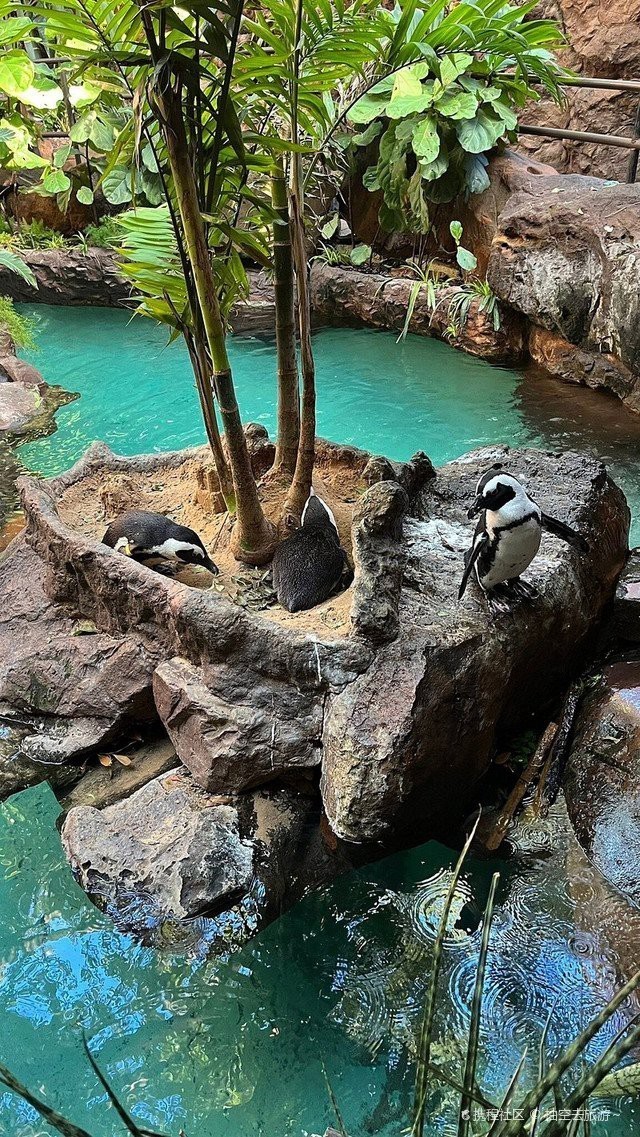 德州水族店，德州水族店哪家好 德州水族店，德州水族店哪家好 全國水族館企業名錄 第7張