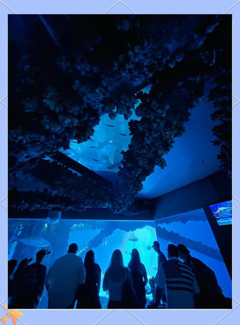德州水族店，德州水族店哪家好 德州水族店，德州水族店哪家好 全國水族館企業名錄 第2張