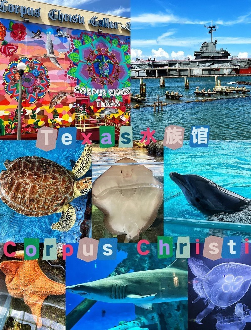 德州水族店，德州水族店哪家好 德州水族店，德州水族店哪家好 全國水族館企業名錄 第1張