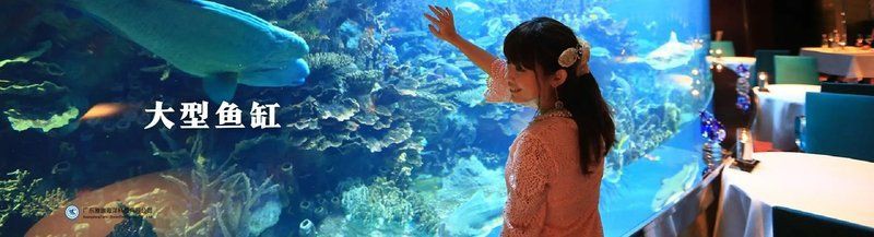 廣安魚缸定做，廣安魚缸定做-廣安魚缸定做