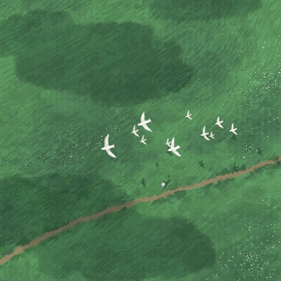 阜新魚缸店，阜新市細河區園林路魚缸店 阜新魚缸店，阜新市細河區園林路魚缸店 全國水族館企業名錄 第12張