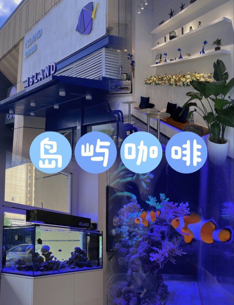 清遠水族店，清遠市水族店經營范圍有哪些