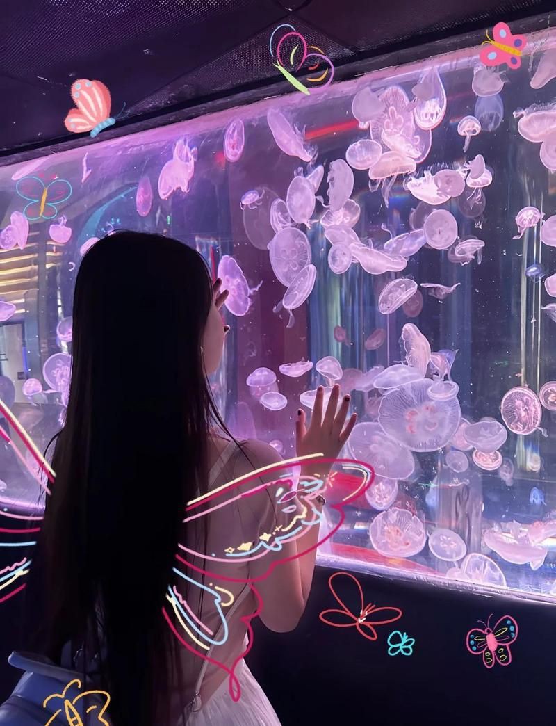 濱州水族店，濱州水族店綜合信息整理非凡水族私人訂制體驗中心 濱州水族店，濱州水族店綜合信息整理非凡水族私人訂制體驗中心 全國水族館企業名錄 第5張