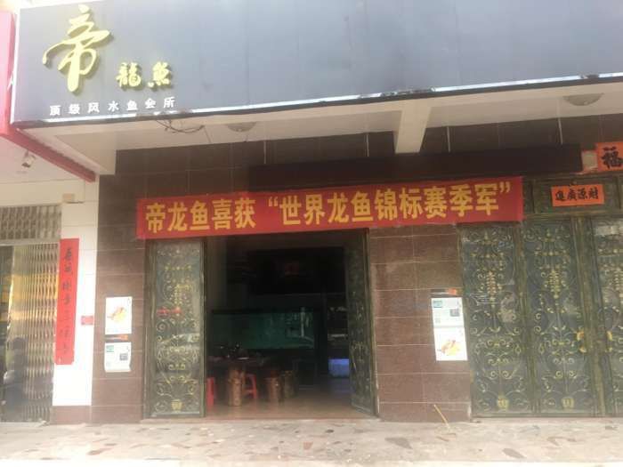 陽江龍魚店，陽江龍魚文化探微