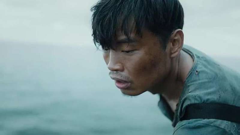 鋸鰩殺大白鯊魚視頻，海底大獵殺:鋸鰩與大白鯊的對抗尚未發(fā)現(xiàn)直接記錄兩者搏殺