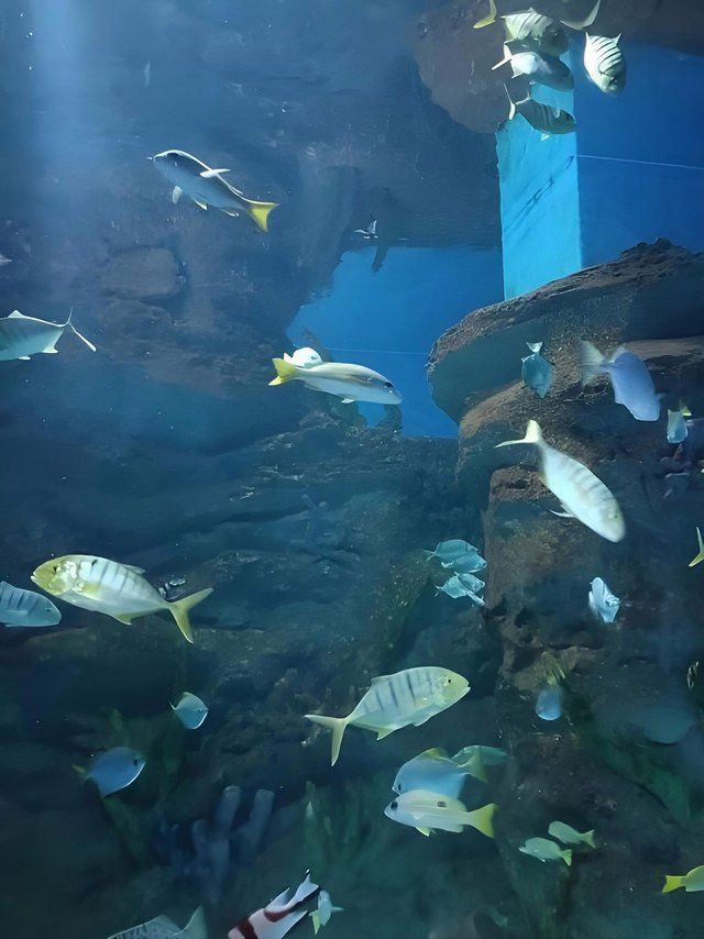 淮安水族館，淮安旅游攻略：淮安戰(zhàn)嬉水世界