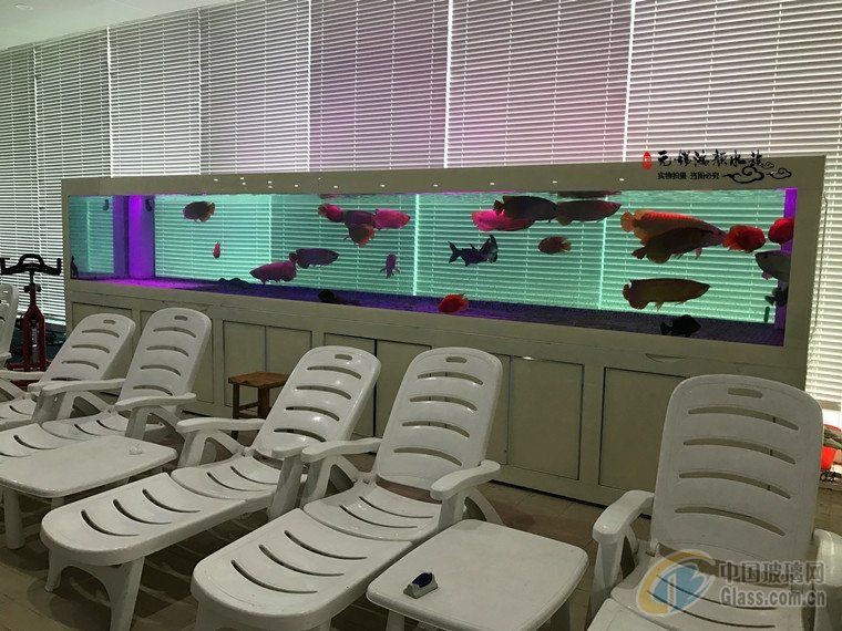 鎮(zhèn)江魚缸定做，鎮(zhèn)江地區(qū)魚缸定做服務豐富多樣，滿足不同場景需求