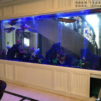 鎮(zhèn)江魚缸定做，鎮(zhèn)江地區(qū)魚缸定做服務豐富多樣，滿足不同場景需求