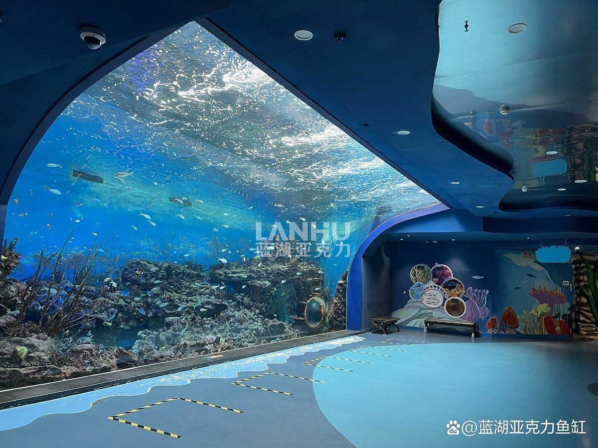 鎮(zhèn)江魚缸定做，鎮(zhèn)江地區(qū)魚缸定做服務豐富多樣，滿足不同場景需求