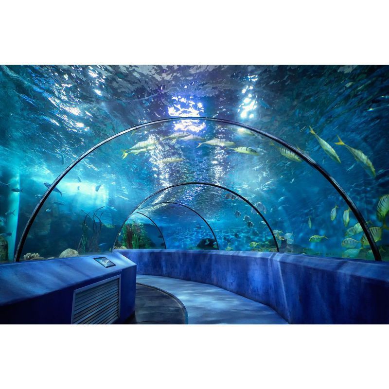 南京水族批發(fā)市場(chǎng)，南京水族批發(fā)市場(chǎng)是當(dāng)?shù)刂匾乃a(chǎn)品集散地是當(dāng)?shù)刂匾乃a(chǎn)品集散地