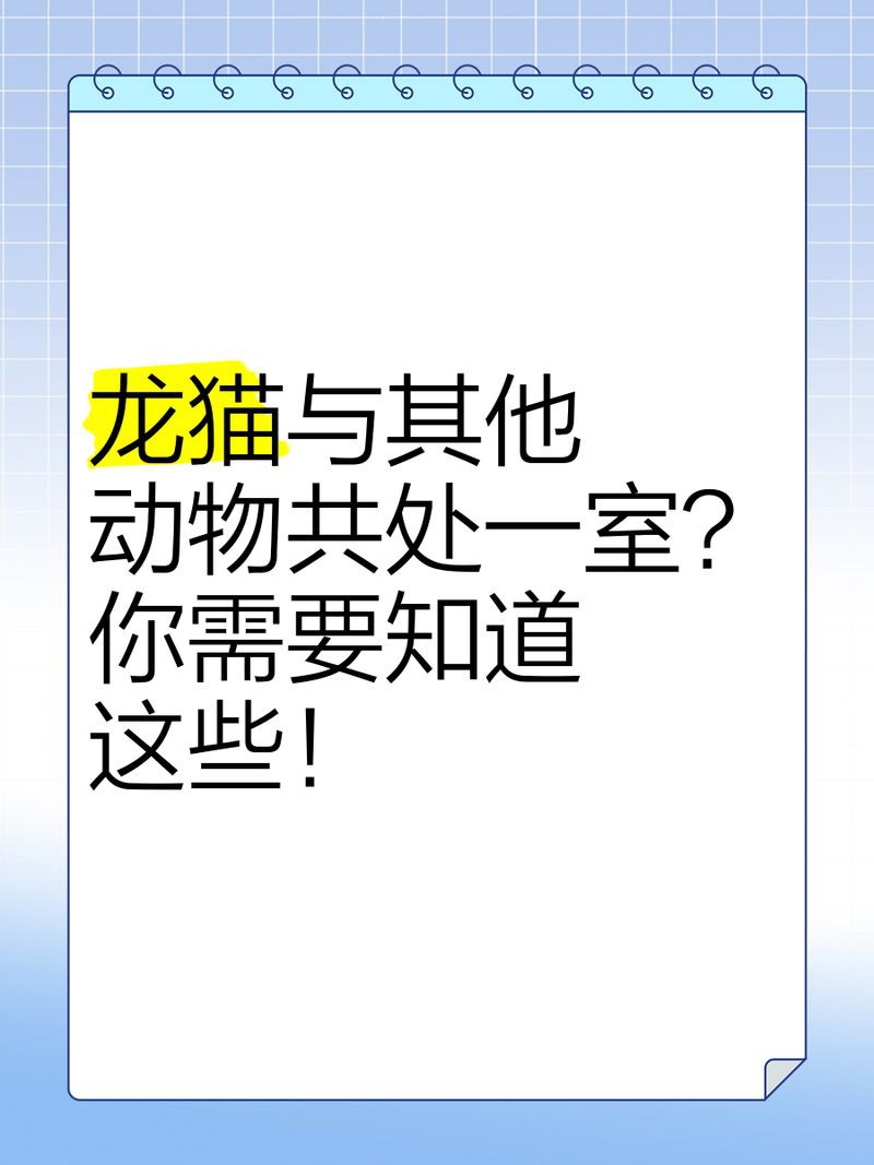 貓會傷害龍貓嗎，關于龍貓的一些問題
