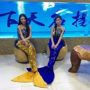 海口魚缸店，海口多家水族店的綜合介紹