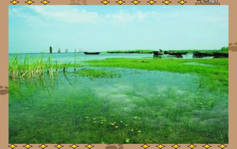 宿遷水族館，宿遷水族館游記
