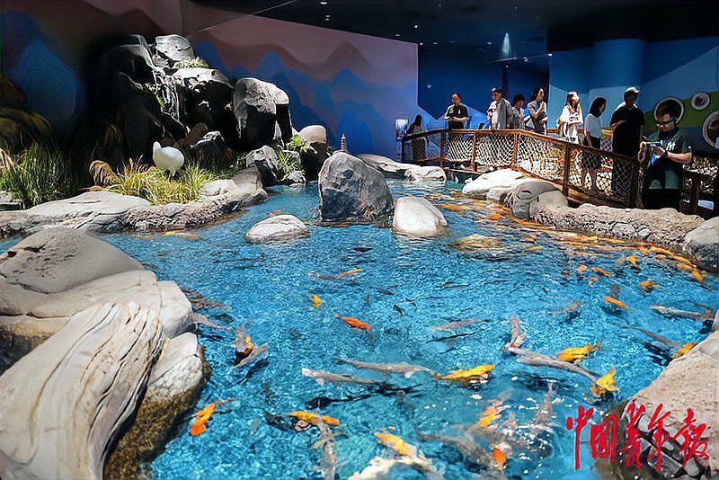 封開水族店，封開水族科普館