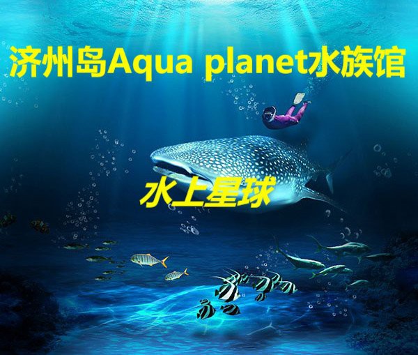 封開水族店，封開水族科普館