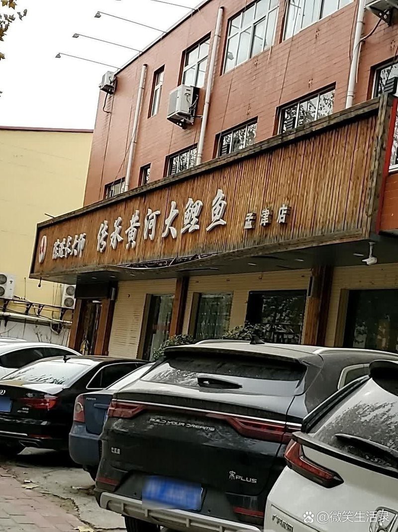 孟津龍魚店，洛陽孟津魚火鍋探店:傳承黃河大鯉魚(孟津店)