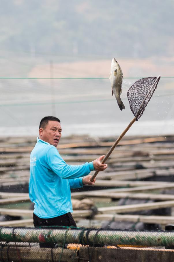 寧武龍魚店，寧武龍魚店以極致嚴苛的“四重管控”成就一條好鱸魚新京報網
