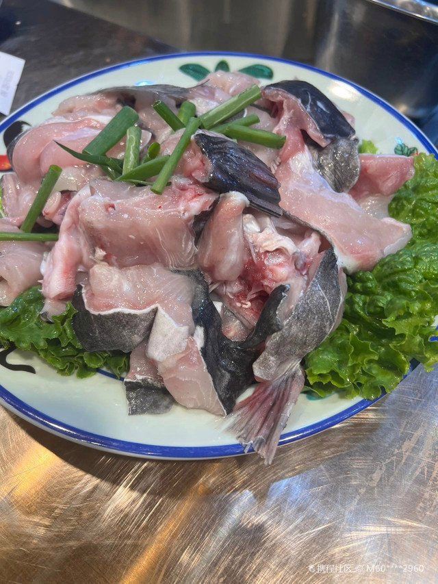 張掖龍魚店，張丹霞魚莊探店