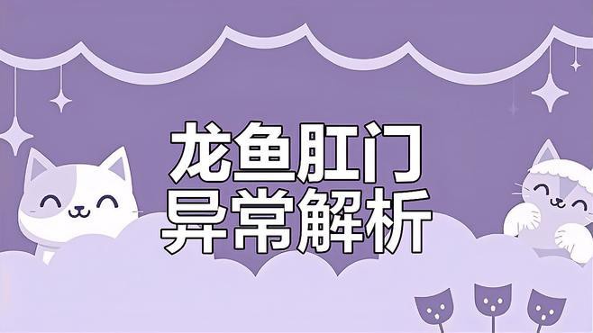 如何判斷龍魚肛門鼓起是否嚴重？，如何判斷龍魚肛門鼓起的嚴重程度