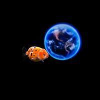 魚缸的細菌會傳染給人嗎，《魚缸的細菌會傳染給人嗎》魚缸的細菌會傳染給人嗎