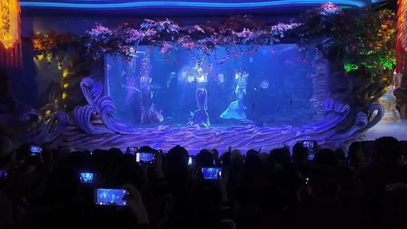 金昌水族館，探秘金昌海洋生物與海洋生物共生的美好愿景
