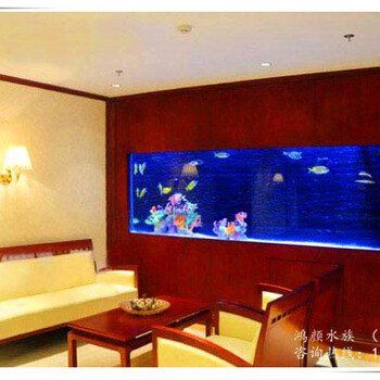 淮安魚缸批發市場，淮安魚缸批發市場發展趨勢分析