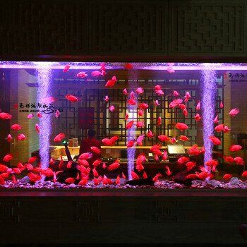 淮安魚缸批發市場，淮安魚缸批發市場發展趨勢分析