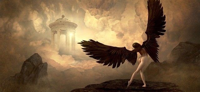 衢州水族館，開雙翼如同水下芭蕾演員衢州海洋生物觀賞體驗江山碧月水族館