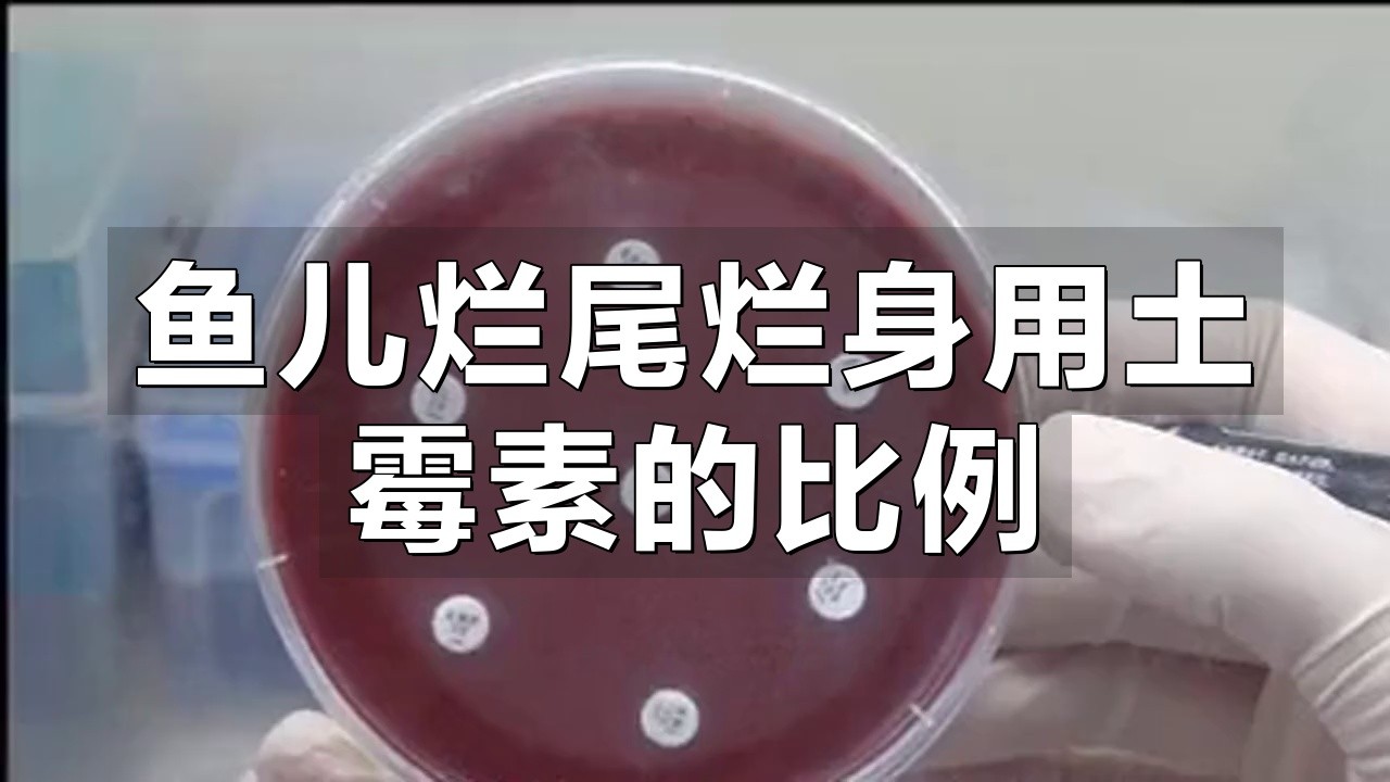 如何正確給龍魚使用土霉素？，土霉素的正確使用方法