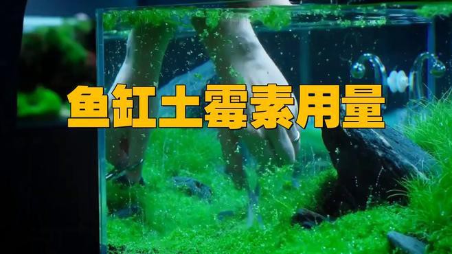 如何正確給龍魚使用土霉素？，土霉素的正確使用方法