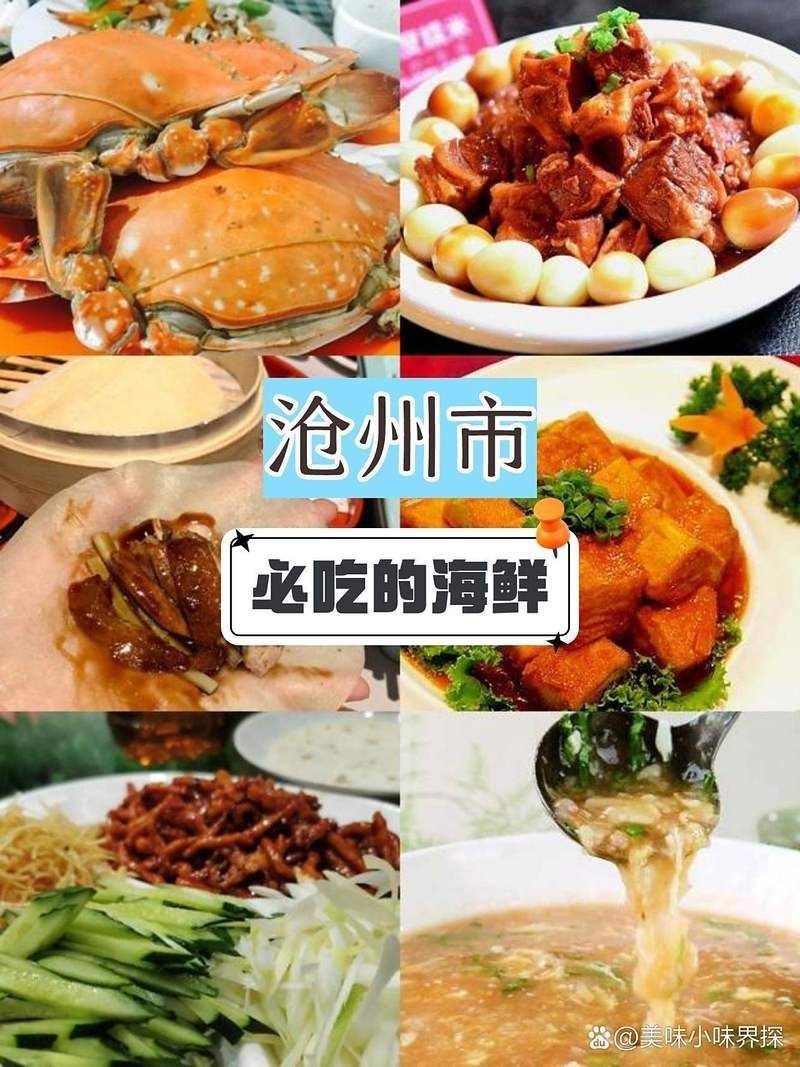 滄州龍魚店，滄州哪家龍魚好