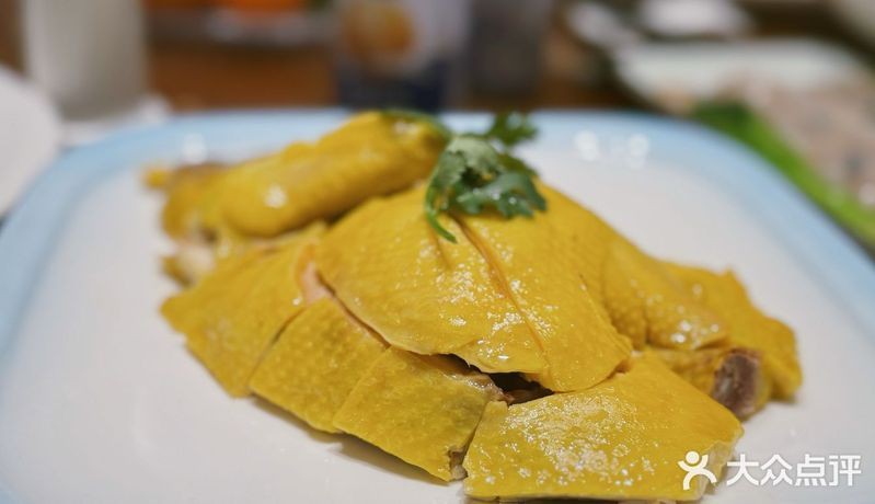 滄州龍魚店，滄州哪家龍魚好