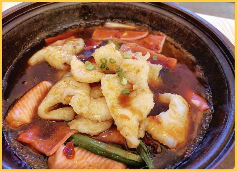 滄州龍魚店，滄州哪家龍魚好