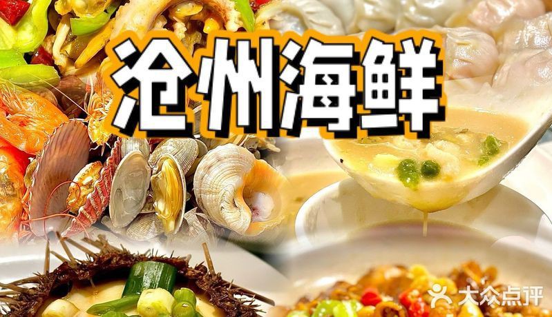 滄州龍魚店，滄州哪家龍魚好