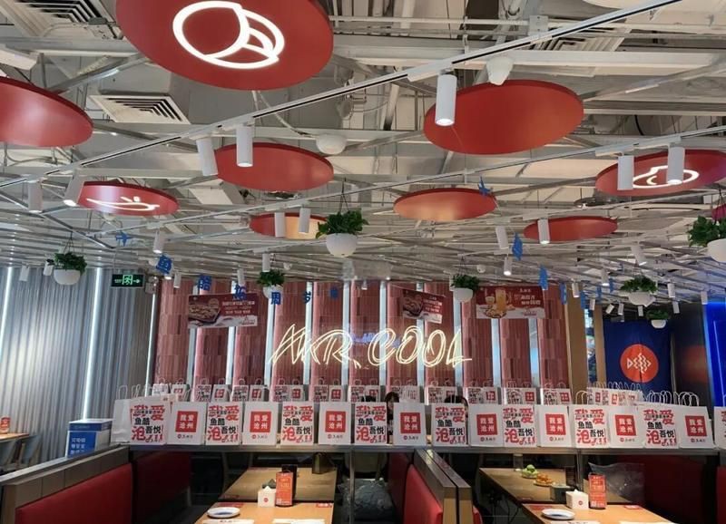 滄州龍魚店，滄州哪家龍魚好