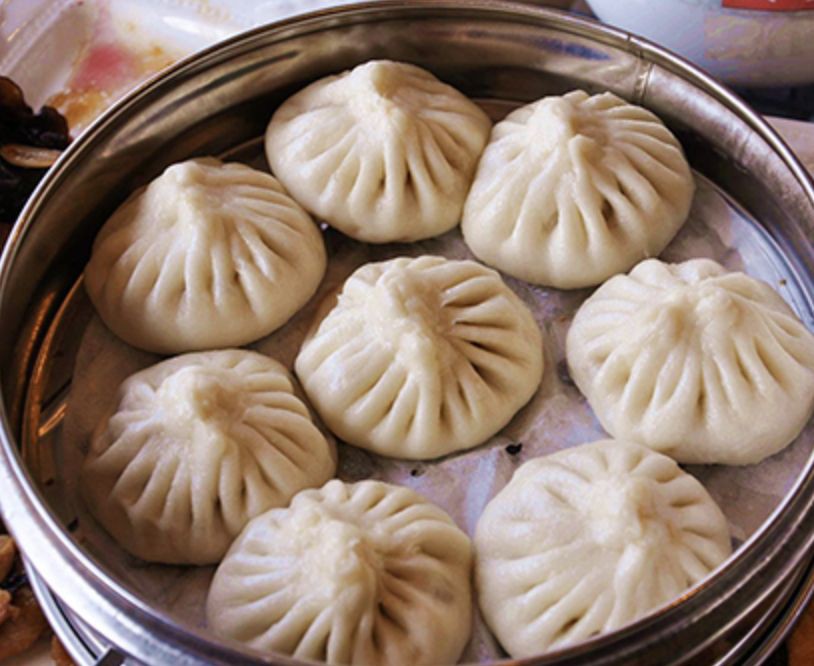 滄州龍魚店，滄州哪家龍魚好