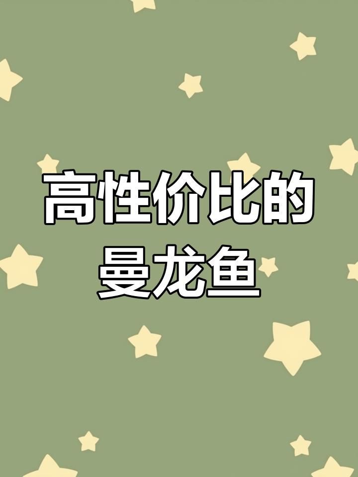 曼龍魚好養嗎，曼龍魚是一種相對容易飼養的小型觀賞魚