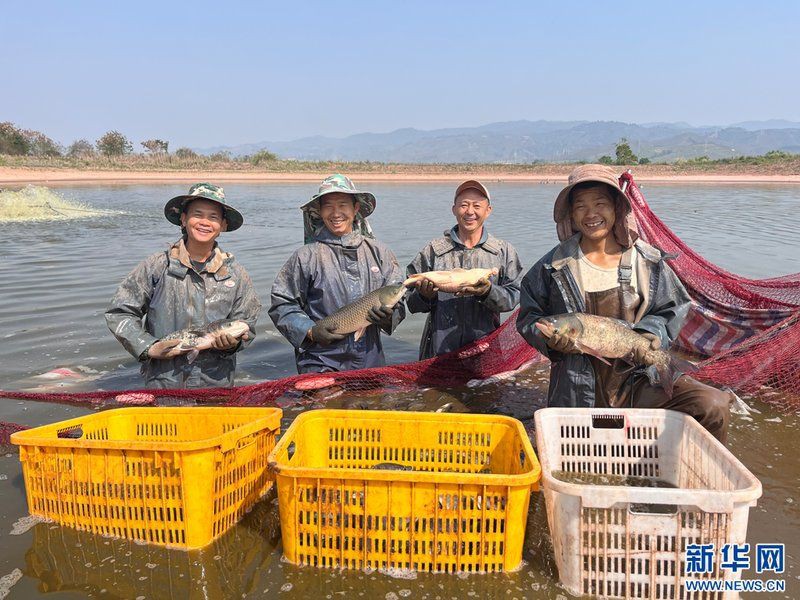 西雙版納傣族自治州魚缸批發市場，拼多多“千億扶持”加速激活西雙版納傣族自治州魚缸批發市場
