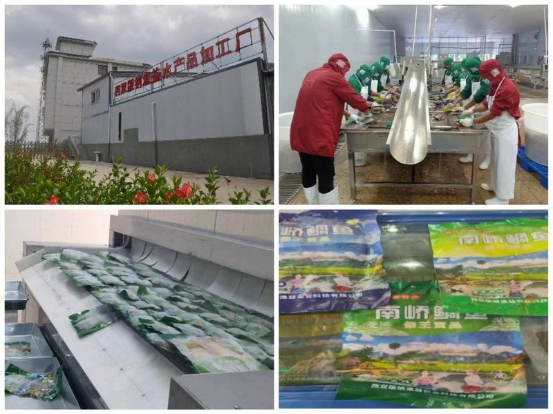 西雙版納傣族自治州魚缸批發市場，拼多多“千億扶持”加速激活西雙版納傣族自治州魚缸批發市場