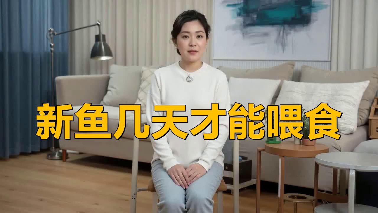 新魚和老魚合缸后多久可以喂食？，新魚和老魚合缸后多久可以喂食
