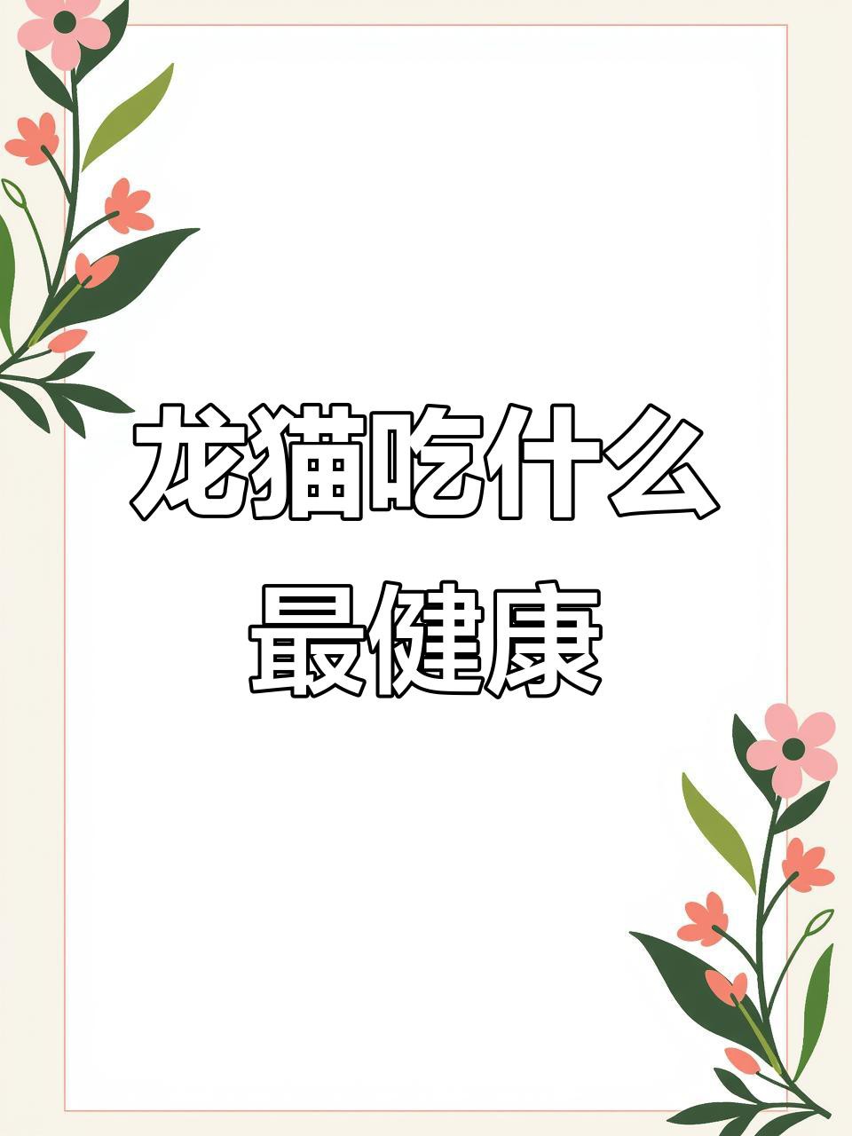 如何科學地飼養龍貓？，《如何科學地飼養龍貓》